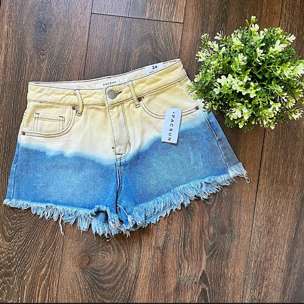 PacSun Spring Tide High Rise Festival Shorts